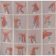Pack Dans mon furoshiki XIII