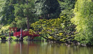 Parc Oriental de Maulévrier